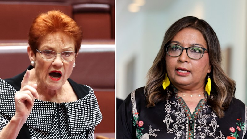 Hanson lines up top silks for High Court ‘racism' appeal