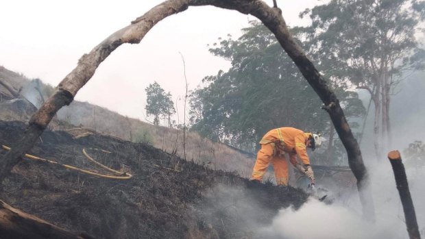 The Allandale Rural Fire Brigade dampen down a bushfire in the Scenic Rim last November.