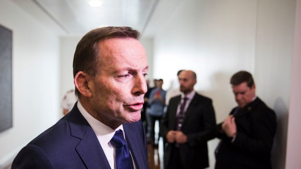 Tony Abbott is weighing up whether to take on the special envoy role.