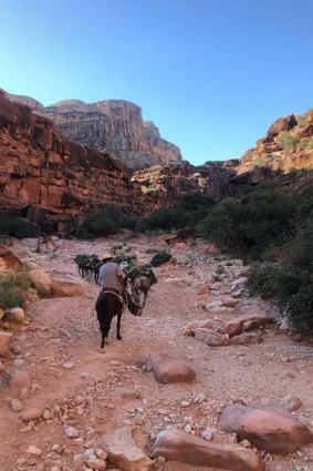 Mail and other supplied are brought in and out on the backs of mules.