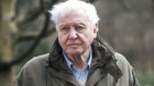 Sir David Attenborough.