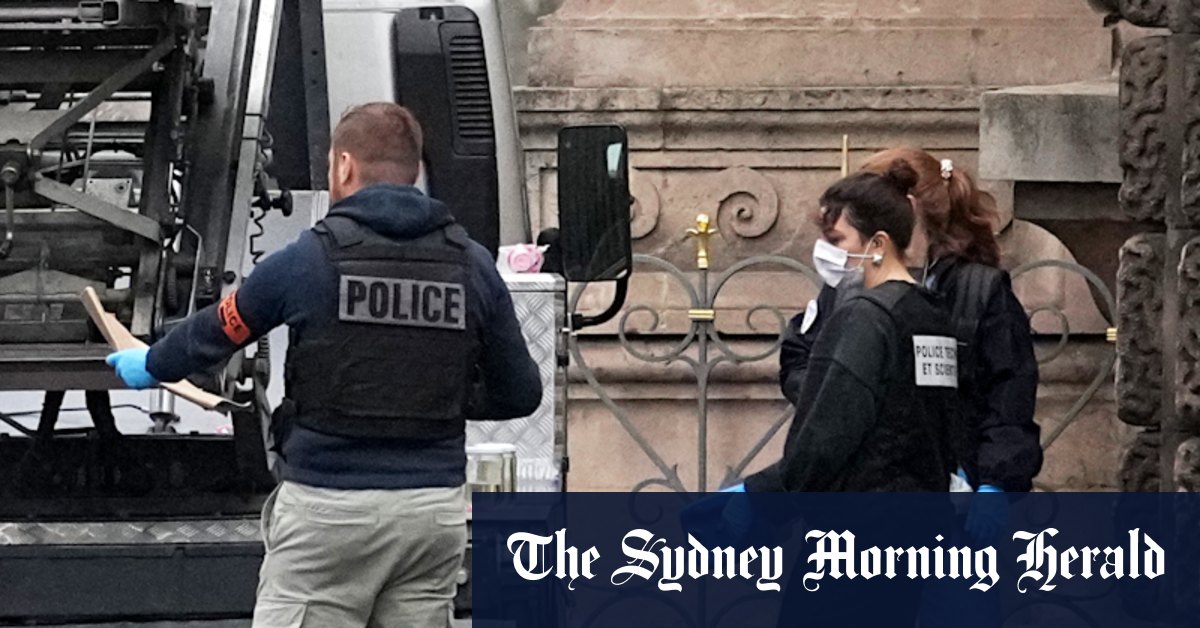 Louvre heist the work of petty criminals, not professional organised crime: prosecutor