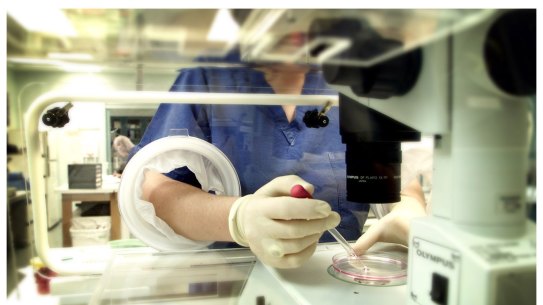 Fertility clinics had some of the largest gender pay gaps. 