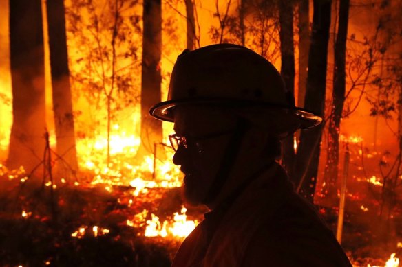 The Black Summer fires devastated East Gippsland in 2020.