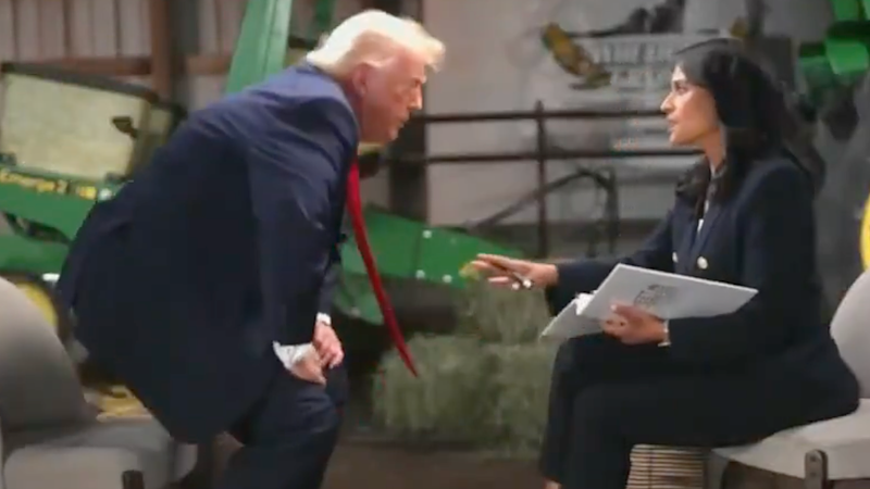 ‘Unhinged’: Trump storms out of TV interview when pressed on false election claims