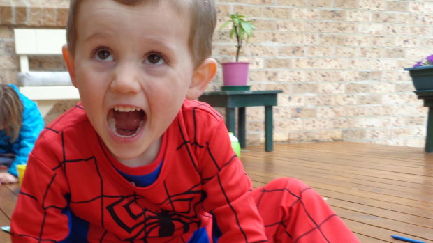 William Tyrrell, who vanished in 2014.