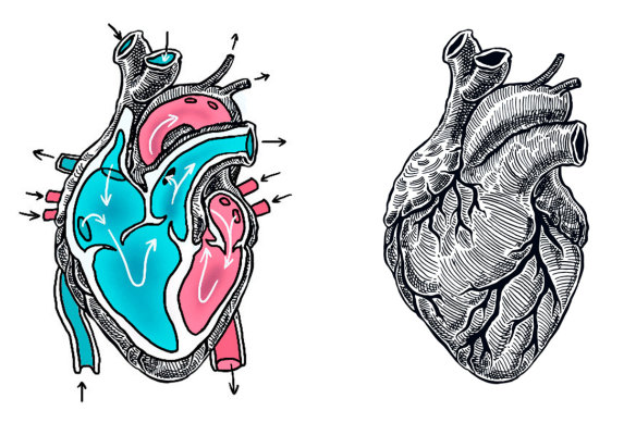 social heart image