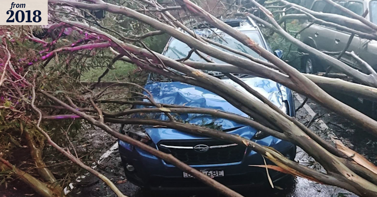 'Devastating': Thousands of homes still without power after Sydney storm