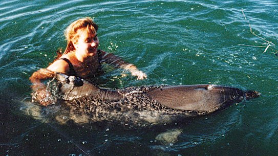Melody began volunteering as part of her studies and came across an isolated dolphin, Jock, who she befriended.
