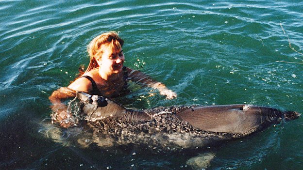 Melody began volunteering as part of her studies and came across an isolated dolphin, Jock, who she befriended.
