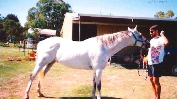 Bradley Edwards in the early 90s before the murders began. 