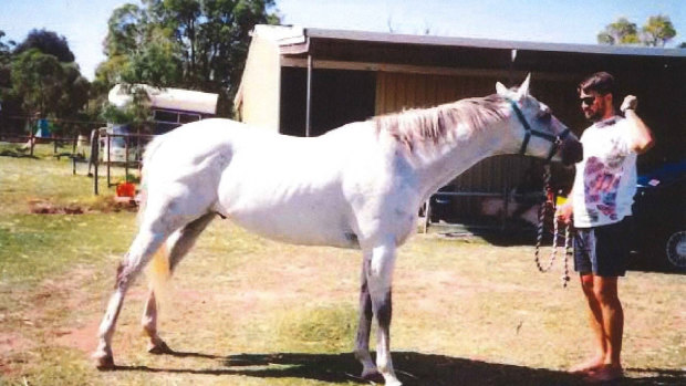 Mr Edwards and his ex-wife's horse Beau, which the couple owned from 1992 to 1994.