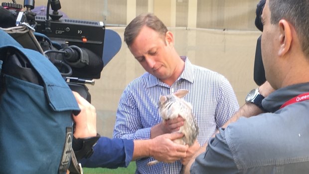 “I’ve always loved bilbies.” Then-environment minister Steven Miles cuddles a bilby for an Easter photo op in 2017.