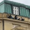 Prague university shooting leaves 14 dead, multiple wounded