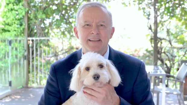 As the PM’s pooch, I thought I had it ruff. Then I met my mate Skinny