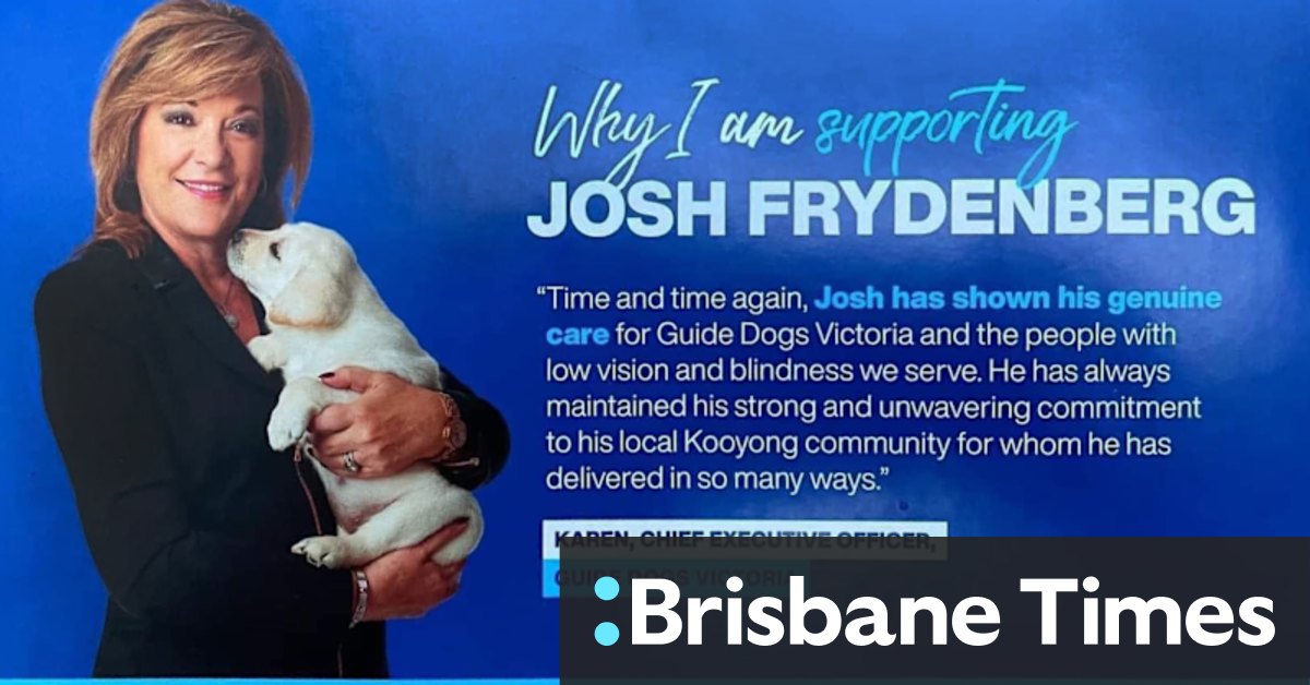 Election 2022: Guide Dogs Victoria head Karen Hayes stood down over Liberal Party pamphlets - Vimarsana News