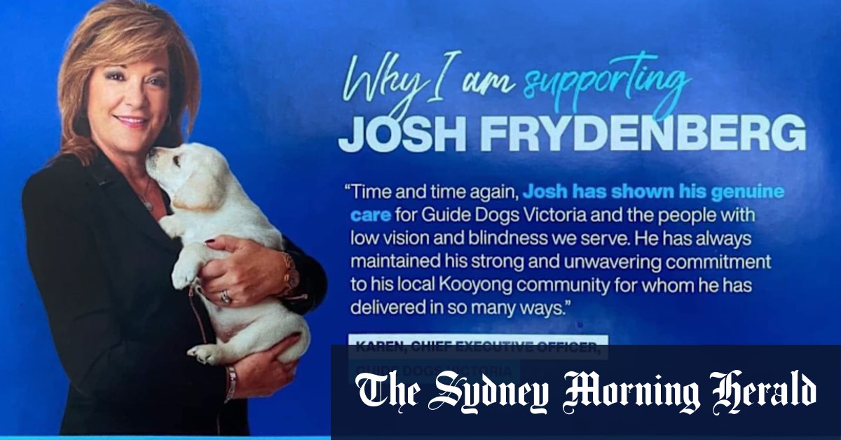 Election 2022: Guide Dogs Victoria head Karen Hayes stood down over Liberal Party pamphlets - Vimarsana News