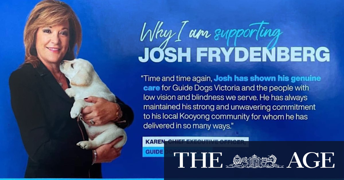 Election 2022: Guide Dogs Victoria head Karen Hayes stood down over Liberal Party pamphlets - Vimarsana News