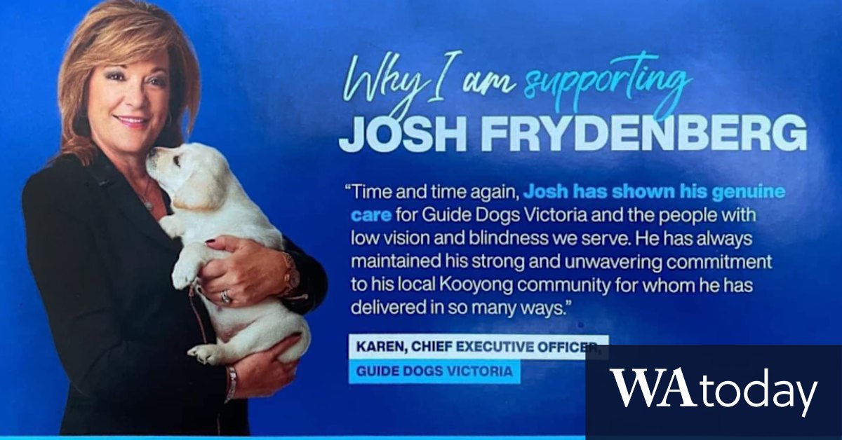 Election 2022: Guide Dogs Victoria head Karen Hayes stood down over Liberal Party pamphlets - Vimarsana News