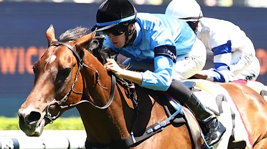 Jett Stanley has three wins on Naval College and will chase his first stakes win on the import in  Saturday’s January Cup.