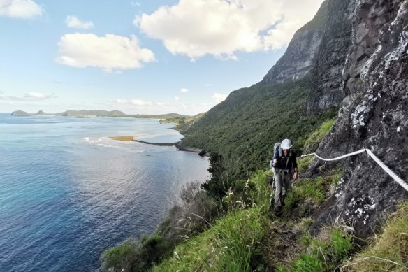 The wildlife on Lord Howe island is booming after feral animals were removed.