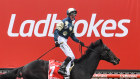 Ladbrokes owner Entain has axed more than 50 jobs in Australia.