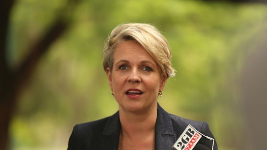 SMH NEWS: Deputy Federal Opposition Leader Tanya Plibersek addresses the Media at a press conference in Rosberry, Sydney.  January 6, 2019. Photo: James Alcock.