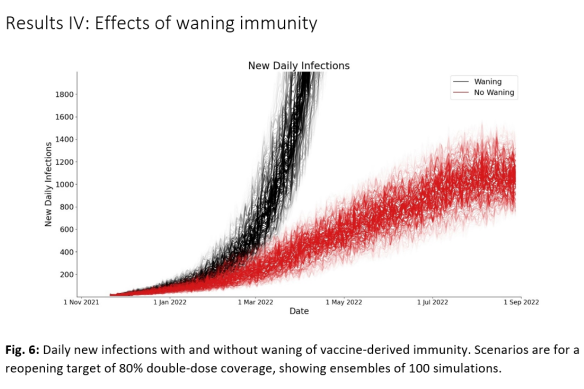 Detailed modelling shows how declining immunity rates may affect case numbers in Queensland into 2022.