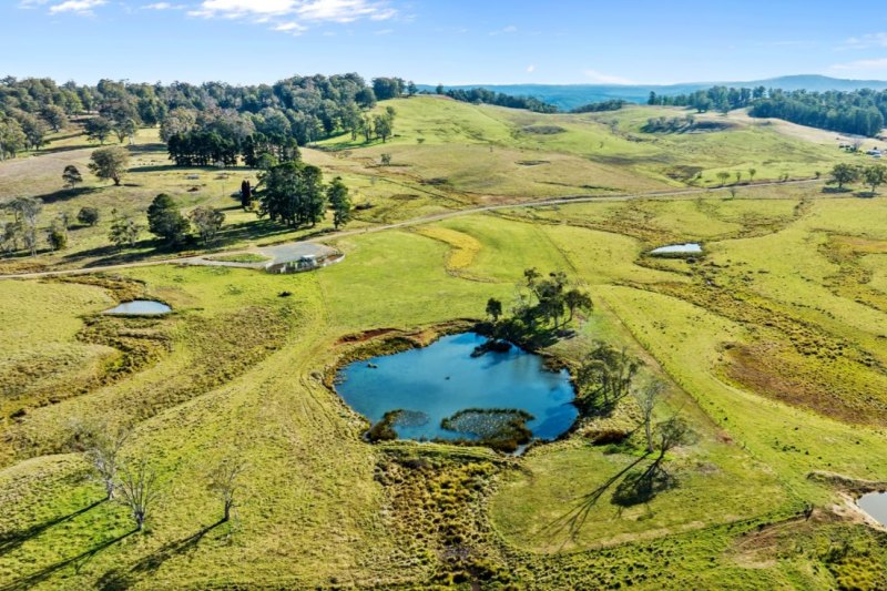 Newcastle eye surgeon buys beef farm owned by one family for 170 years