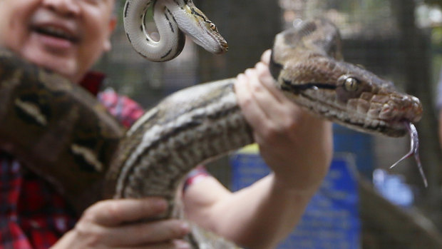 Indonesian police have issued a rare apology for using a snake to terrorise a suspect.
