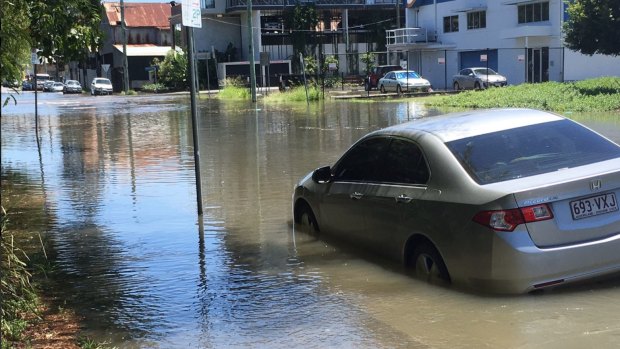 A king tide in Windsor on January 3 saw streets flooded and cars partially submerged.