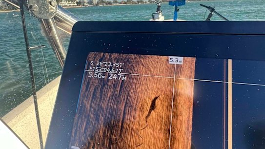 Reported croc sighting in Noosa on the Sunshine Coast. 