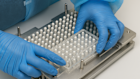 The Melbourne facility produced 10,000 MDMA capsules in its first production run.