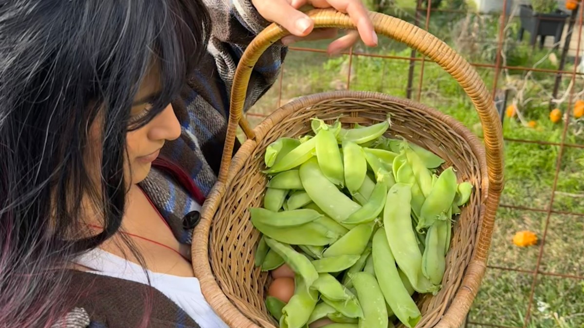 Aussies are saving $500 a year growing their own food; here’s how to get started