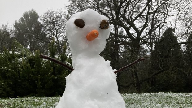 Snow fell on Saturday in the Dandenong ranges, when this snowman appeared in Ferny Creek.