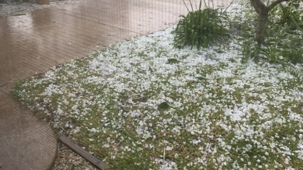 A supplied image from a Sunshine Coast resident detailing the aftermath of Sunday's hail storm.