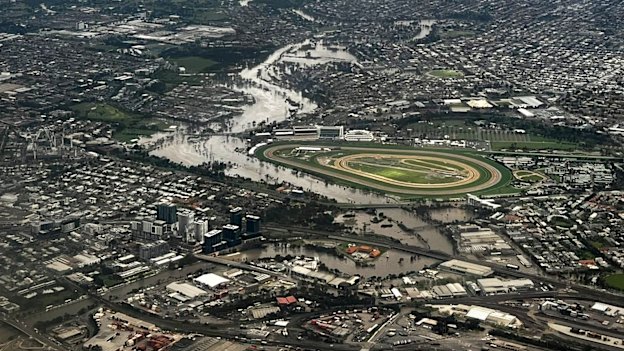 The Flemington racecourse floodwall kept the track in perfect condition on October 14. In the background is the flooded suburb of Maribyrnong.