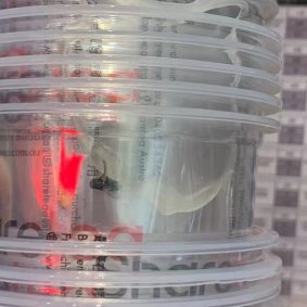 A fly pictured in Sharetea drink cups.