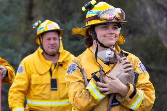 CFA firefighters rescuing a joey from a fire in Mount Lonarch on Wednesday, which later passed away.