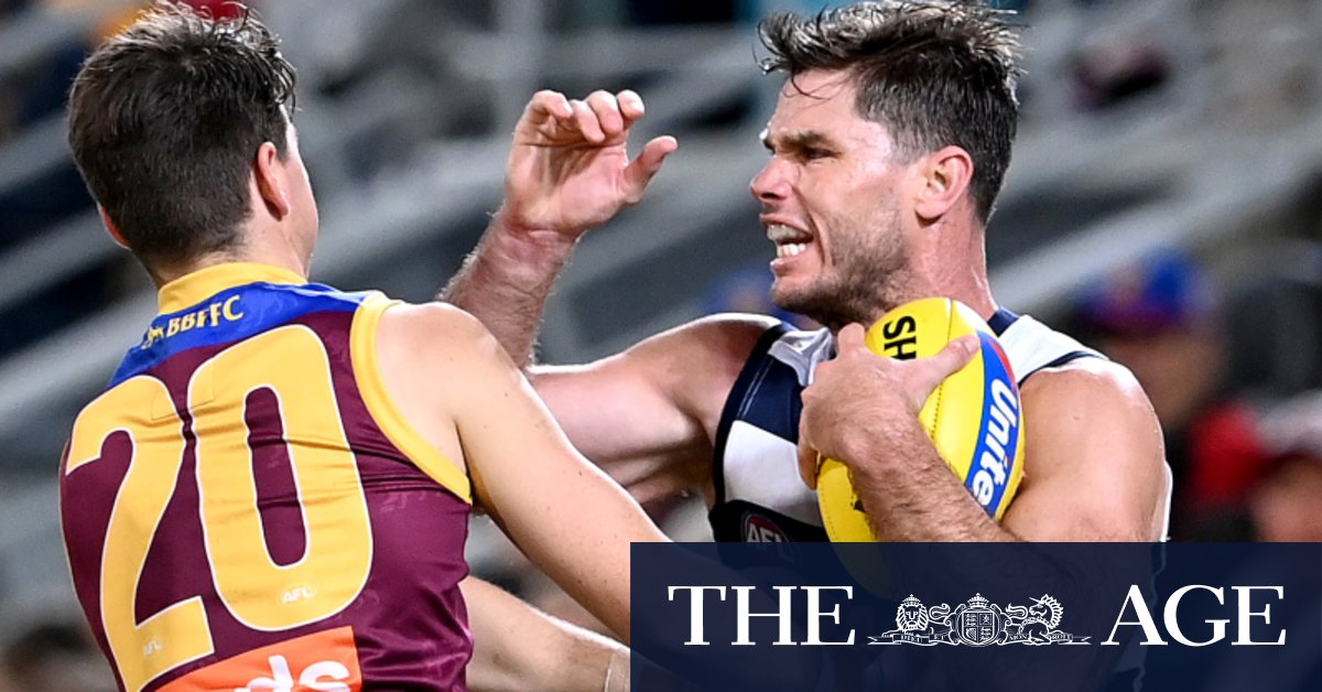 Lions dominate Cats in heated contest