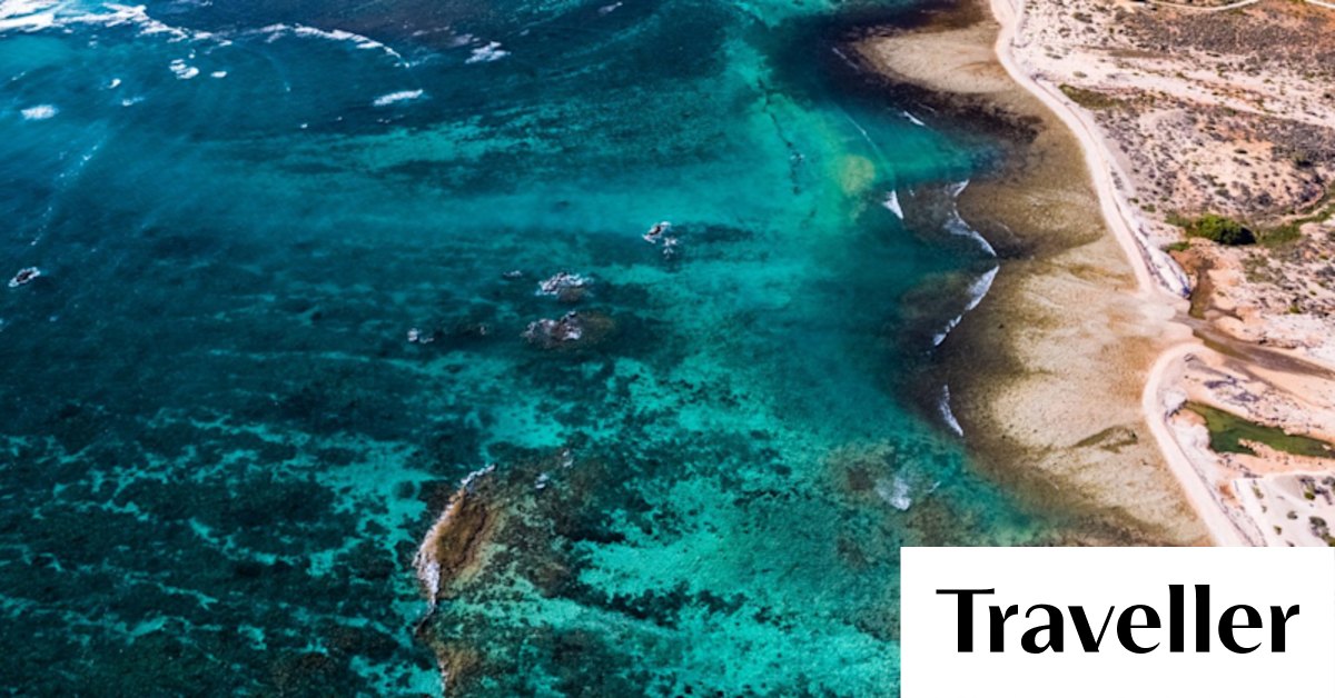A spine-tingling trip back in time in the home of the world's biggest shark - Vimarsana News