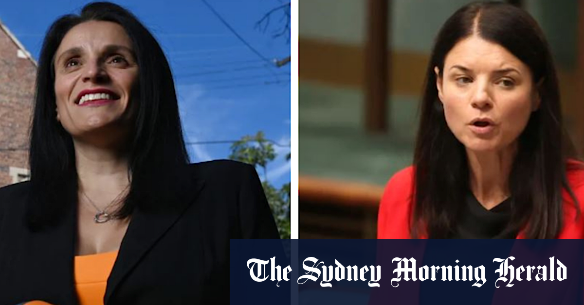Election 2022: Liberals lose preferences in must-win marginal inner west seat of Reid - Vimarsana News