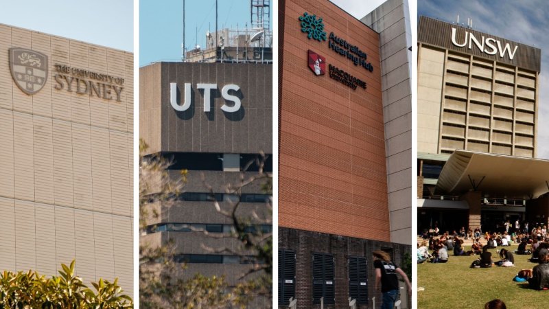 ‘Sold to the university’: Agents paid millions to recruit international students