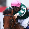 Straight Charge 
(pink cap)  holds off Espionage in the finish of the Silver Slipper.