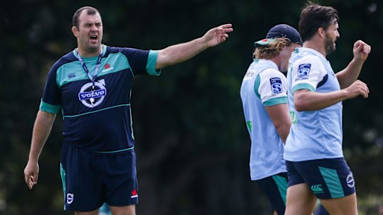 Michael Cheika during his Waratahs days in 2015. 