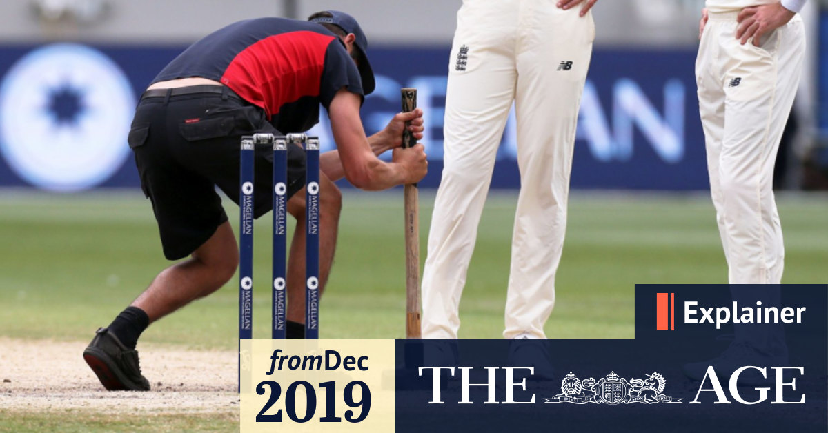 What Makes A Perfect Cricket Pitch