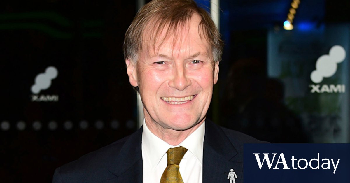David Amess murder: Court told charged man Ali Harbi Ali supported IS - Vimarsana News