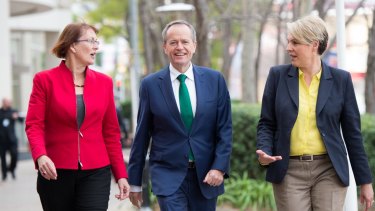 Labor's Susan Templeman (L) says she was "shocked" by material distributed by anti-abortion campaigners during the election. 