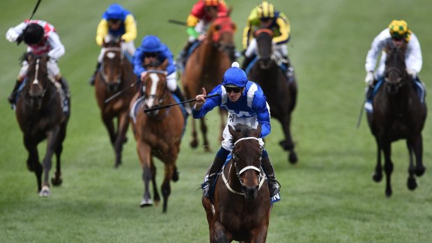  Put to the sword: It's daylight second, or rather Hartnell in the all blue silks, in the 2016 Cox Plate. 