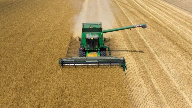 China  has agreed to fast track a review of its high tarrifs on barley, as Australia pauses its WTO dispute over the embargo.